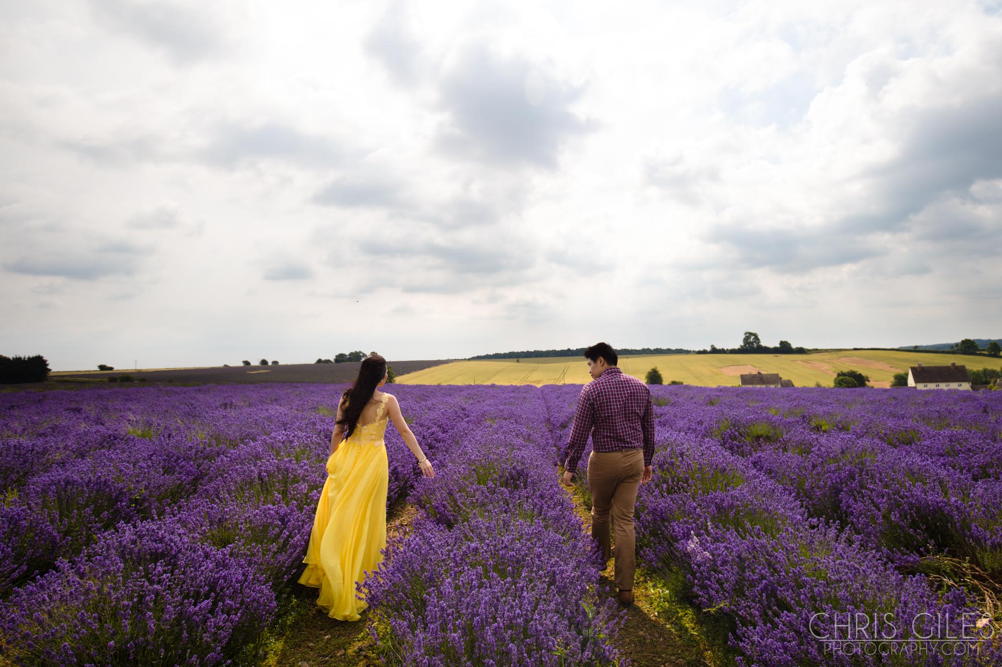 Cotswold Lavender Fields
