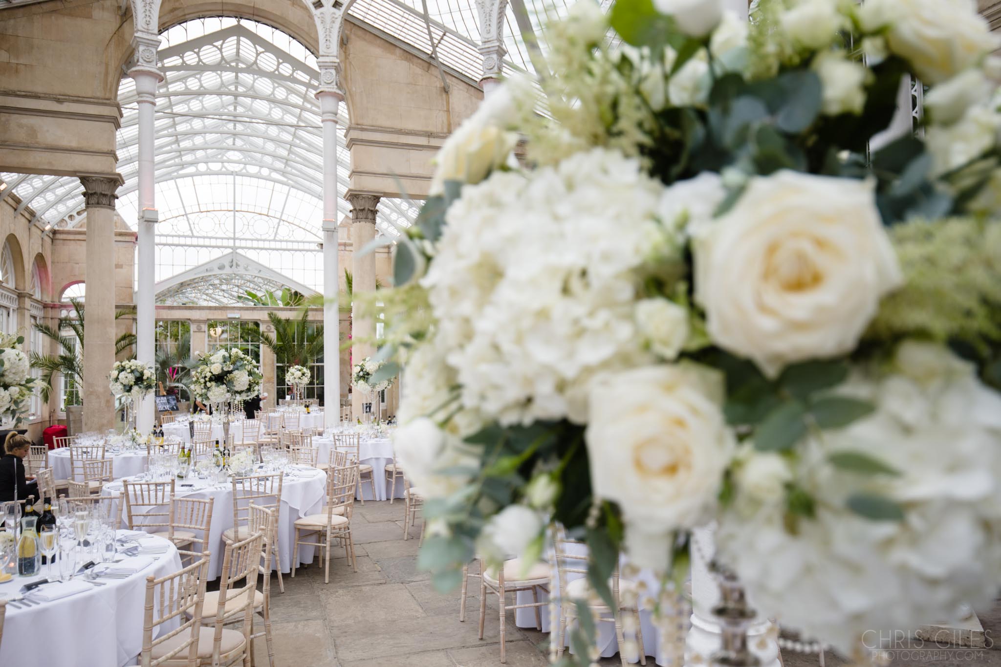 The Great Conservatory at Syon Park
